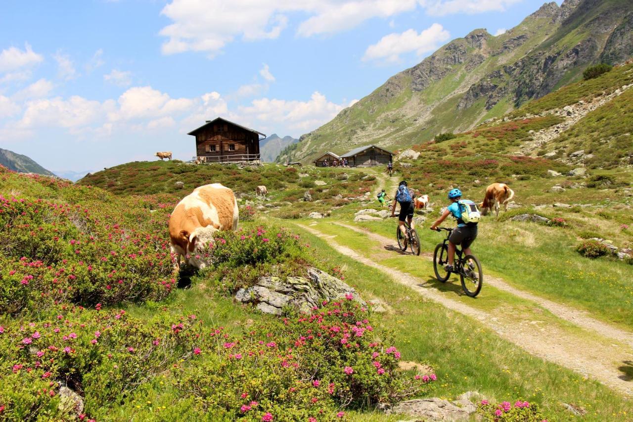 Rohrmooser Schloessl Schladming Zewnętrze zdjęcie